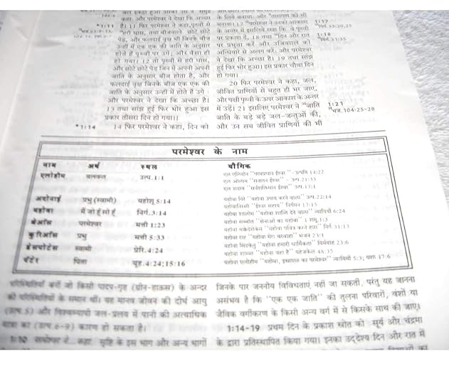 RYRIE STUDY BIBLE (HINDI) ORIGINAL TRANSLATED VERSION