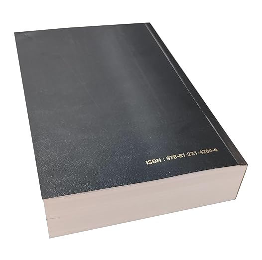 Holy Bible Punjabi Semi Compact Containing Old and New Testament BSI Paperback