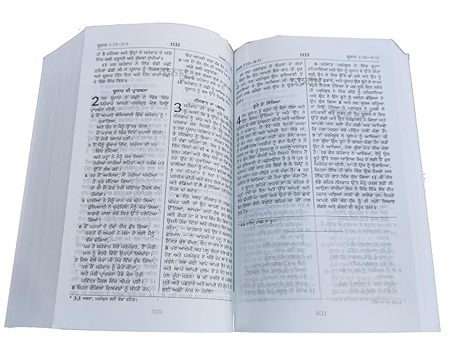 Holy Bible Punjabi Semi Compact Containing Old and New Testament BSI Paperback