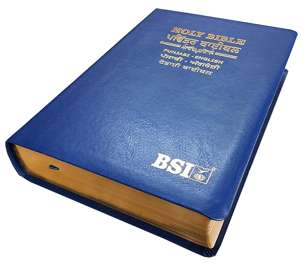 Diglot Bible Punjabi (Navy Blue) (O.V.) - English (ESV) Royal PU Contains Old and New Testament BSI Bonded Leather