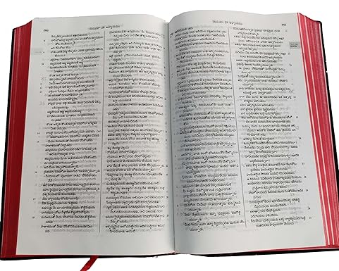 Telugu (O.V.) 2021 Printed Bible Contains Old and New Testament BSI Plastic Comb