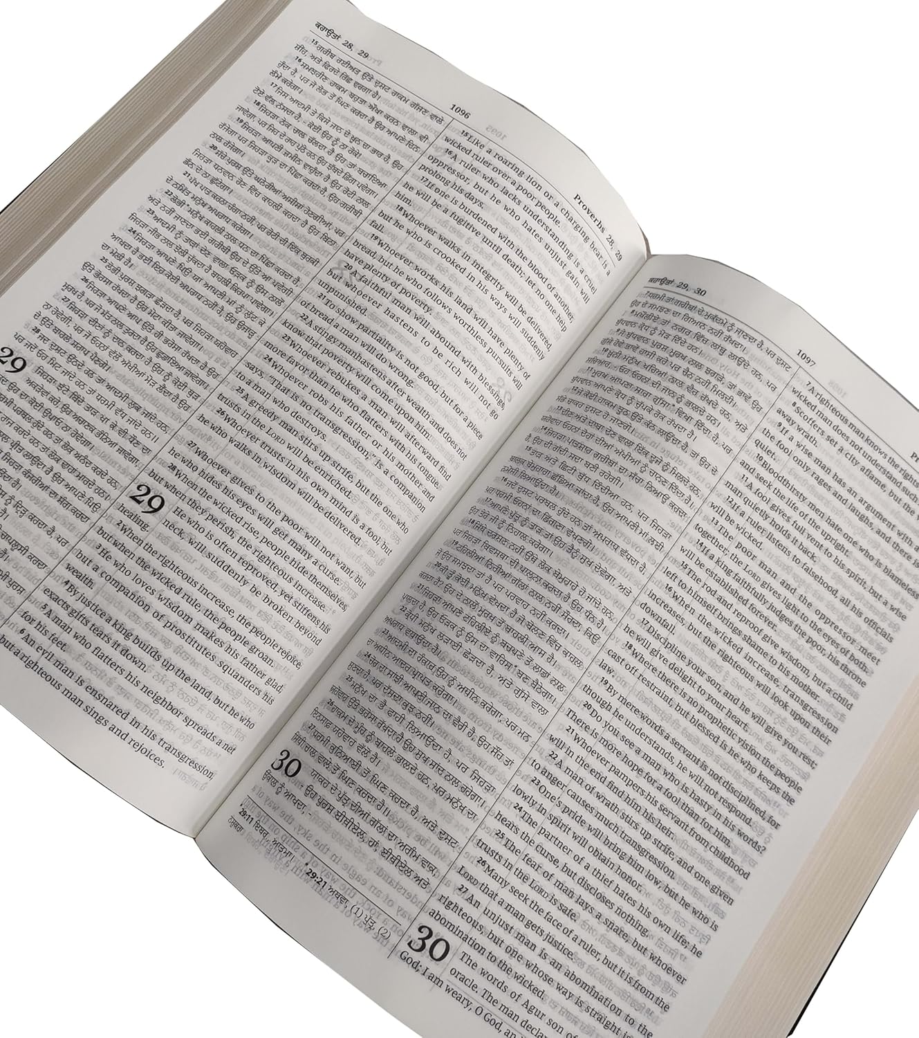 Diglot Bible Punjabi (Navy Blue) (O.V.) - English (ESV) Royal PU Contains Old and New Testament BSI Bonded Leather