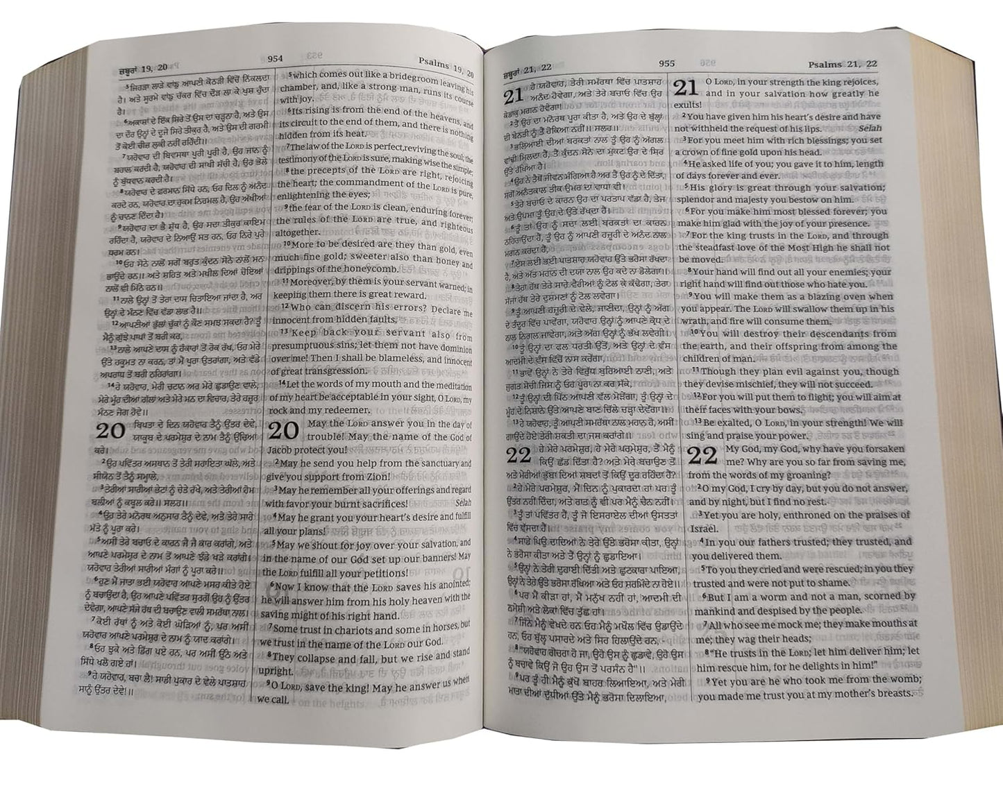Diglot Bible Punjabi (Navy Blue) (O.V.) - English (ESV) Royal PU Contains Old and New Testament BSI Bonded Leather