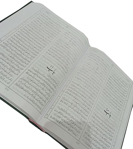 Holy Bible Kashmiri Containing Old and New Testament BSI