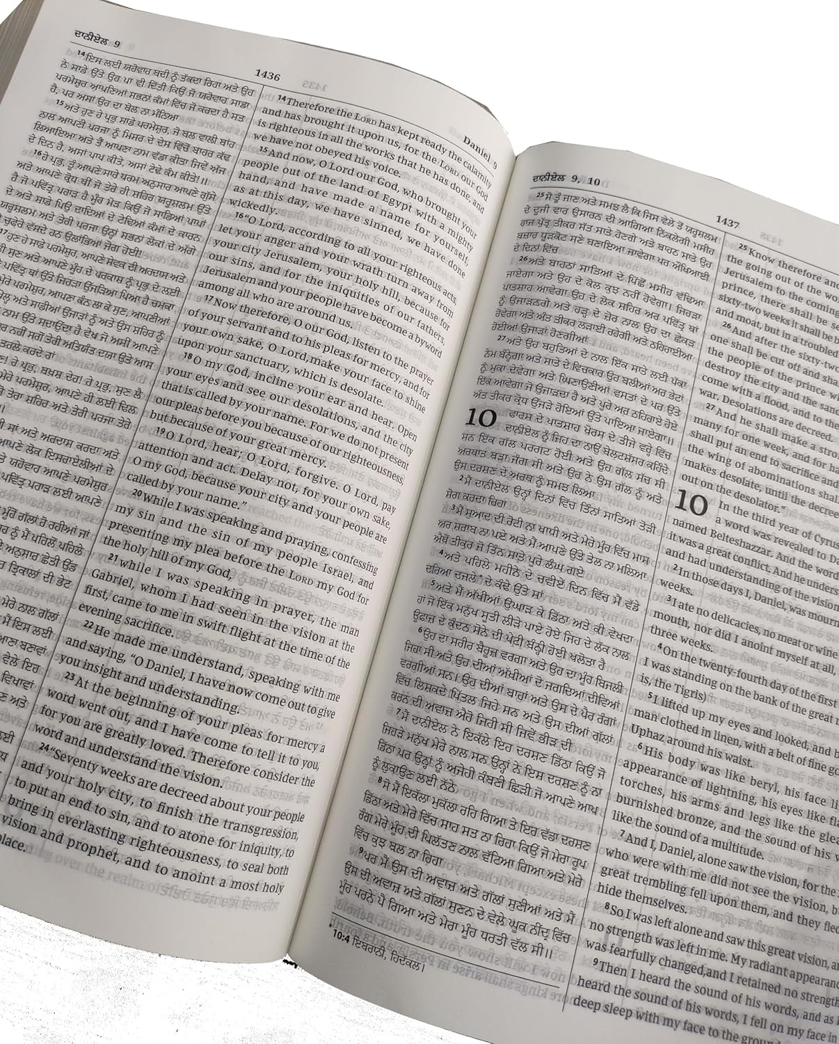 Diglot Bible Punjabi (Navy Blue) (O.V.) - English (ESV) Royal PU Contains Old and New Testament BSI Bonded Leather