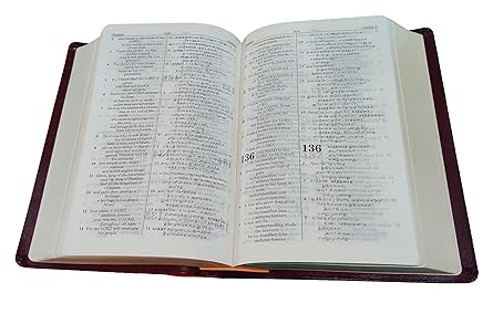 Holy Bible in English & Tamil Royal