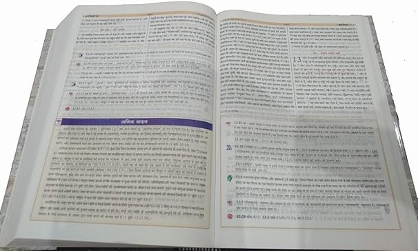 THE STUDY BIBLE IN HINDI CONTAINING OLD AND NEW TESTAMENT UPDATED 2018-2019 VERSION LARGE PRINT EDITION Hardcover