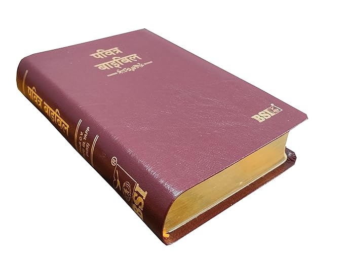 Hindi O.V. 25TI(R) Compact Bible Yapp (KBS) Brown Korean Print Containing Old and new Testament BSI Leather Boun