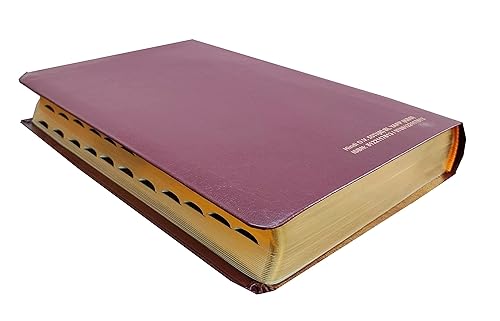 Hindi Bible 55TI O.V. (R) BL Yapp (KBS) Brown Korean Print Contaning Old and New Testament BSI