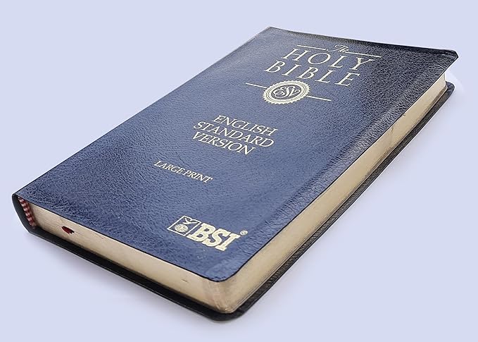 ESV Bible Large Print Bounded Leather Gold Edge Leather Bound