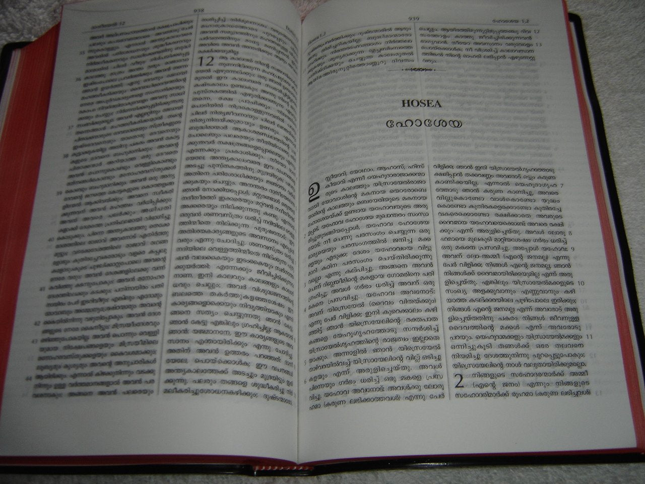 Malayalam Bible Old Version O V N F Vinyl Bound