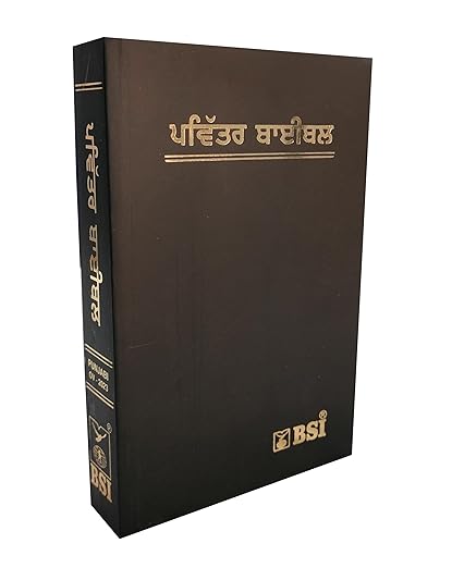 Holy Bible Punjabi Semi Compact Containing Old and New Testament BSI Paperback