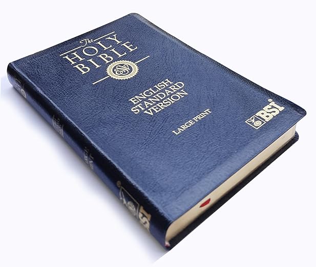 ESV Bible Large Print Bounded Leather Gold Edge Leather Bound