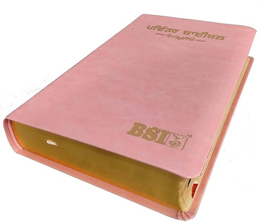 Punjabi Bible Regular Pu Yapp Pink Index Containing Old and New Testamnet BSI Bonded Leather