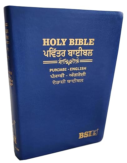 Diglot Bible Punjabi (Navy Blue) (O.V.) - English (ESV) Royal PU Contains Old and New Testament BSI Bonded Leather