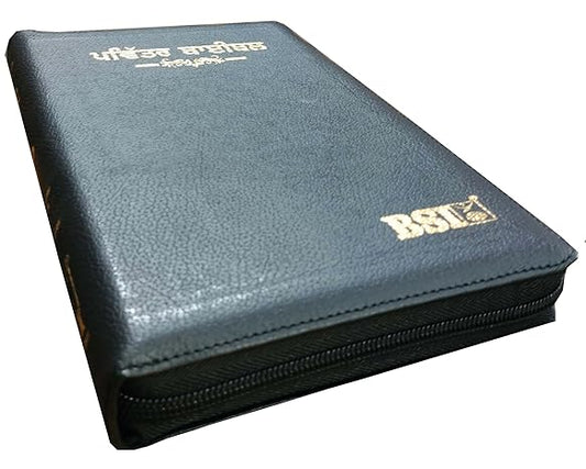 Punjabi Bible Regular Black Vinyl With Zip/Index Containing Old and New Testamnet BSI