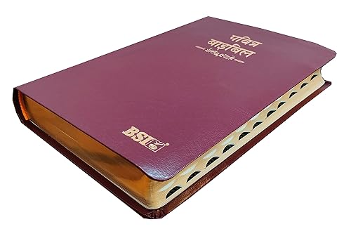 Hindi Bible 55TI O.V. (R) BL Yapp (KBS) Brown Korean Print Contaning Old and New Testament BSI