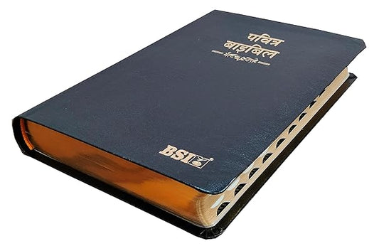 Hindi Bible OV(KBS) 55TI (R) BL Index Yapp Korea Printed Contains Old and New Testamnet BSI Bonded Leather