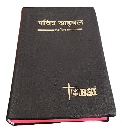 Pavitra Bible Hindi O.V. Re-Edited New Updated cover Contains Old and New Testament Plastic Comb