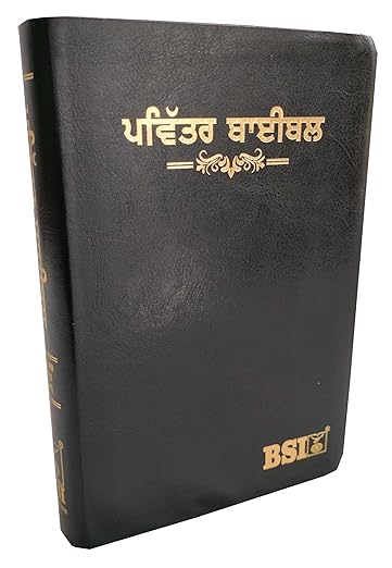 Holy Bible Punjabi- (O.V.) New Font '23 Regular PU Black/Thumb Index Contains Old and New Testament Leather Bound
