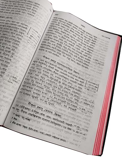 Manipuri (O.V.) Reference Bible Contains old and New Testament BSI Plastic Comb
