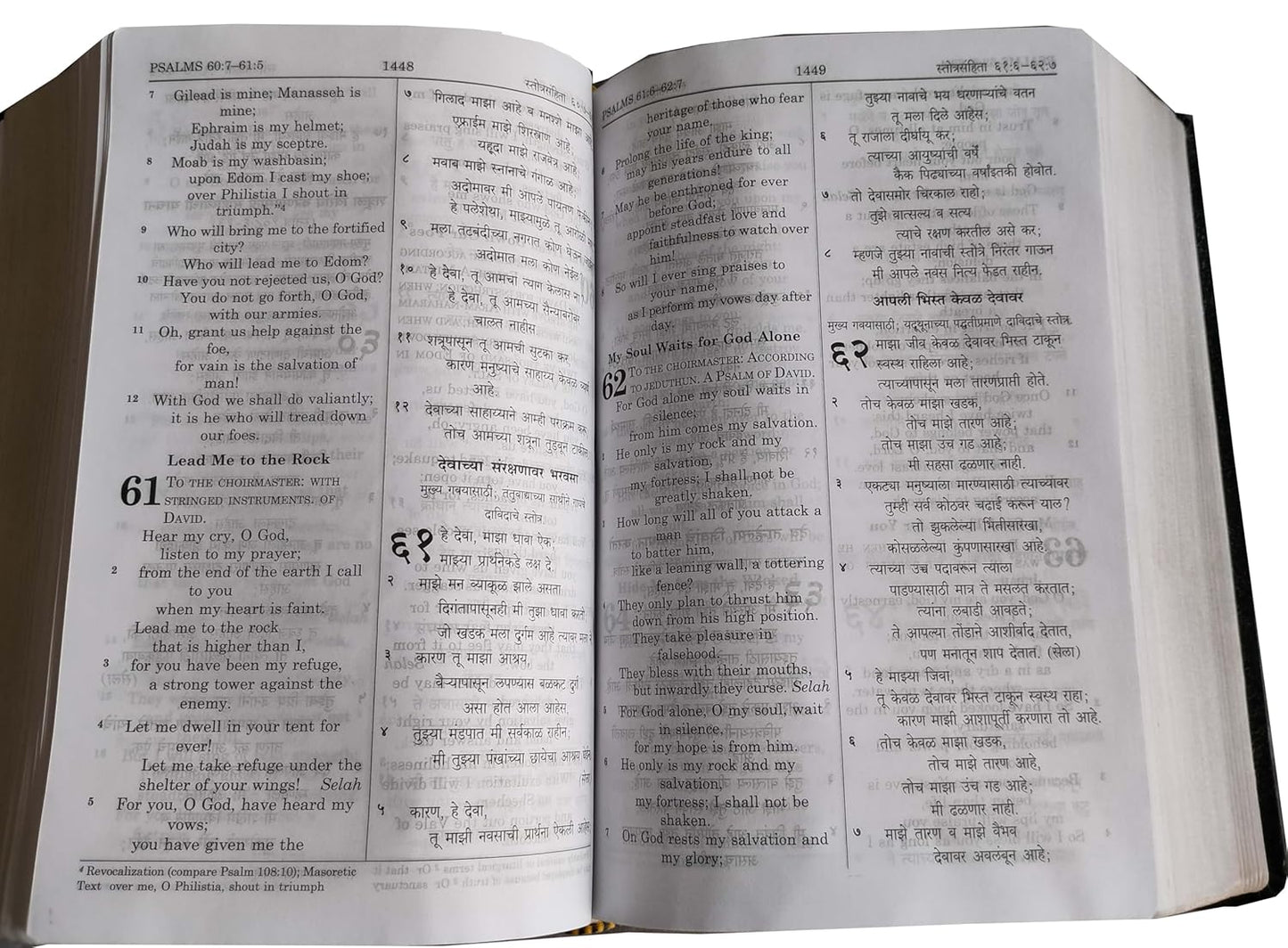 English (ESV) - Marathi (R.V.) RE- Edited Diglot Bible Contains Old And New Testament BSI Leather Bound