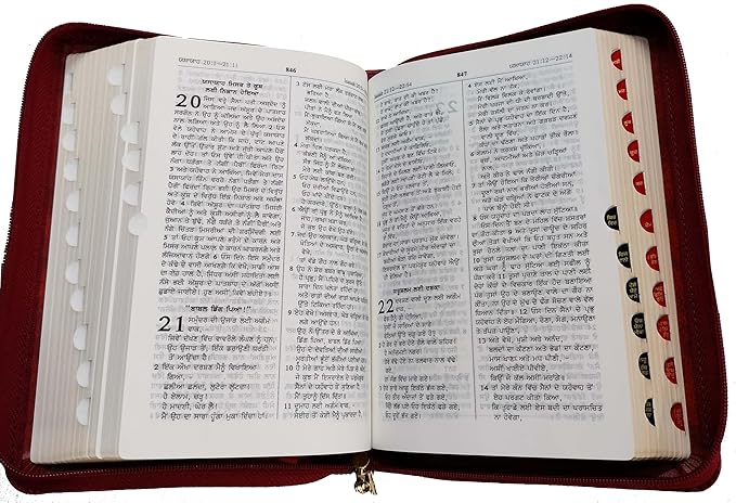 Punjabi Bible Compact Black Vinyl With Zip/Index Contains Old and New Testament