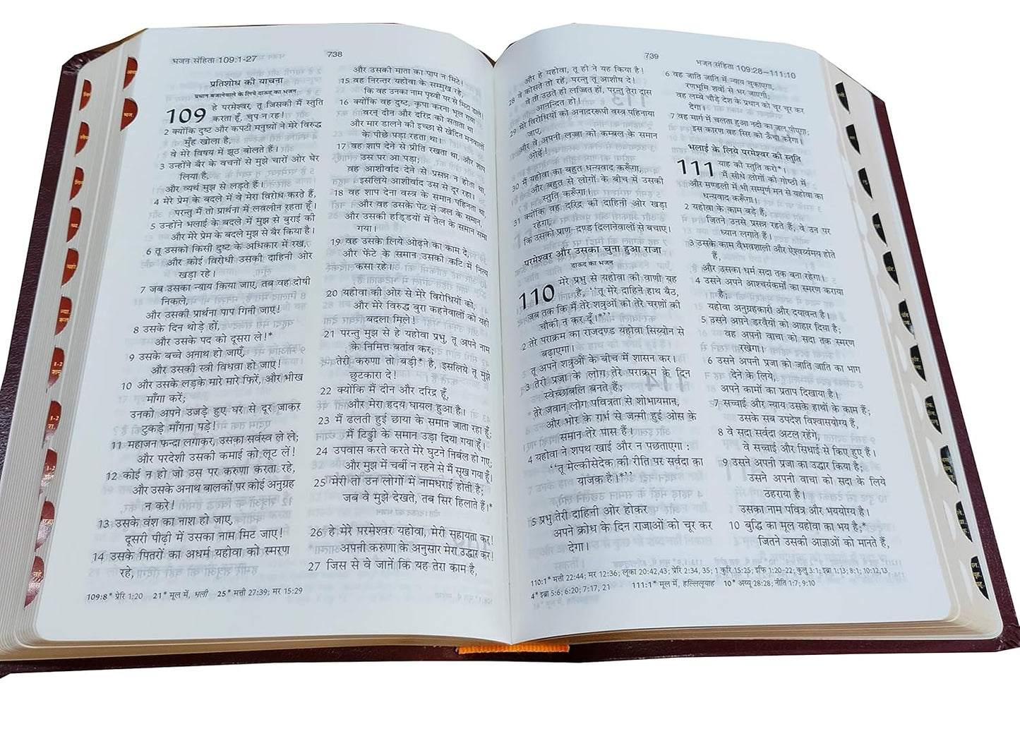 Hindi Bible 55TI O.V. (R) BL Yapp (KBS) Brown Korean Print Contaning Old and New Testament BSI