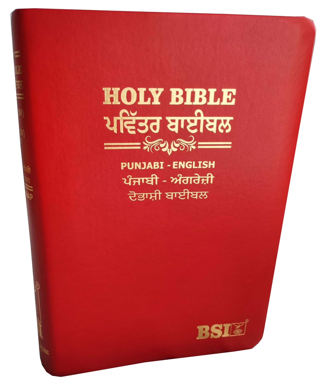 Punjabi Diglot Bible (O.V.) - English (ESV) Royal PU (Maroon) Contains Old and New Testament BSI Leather Bound