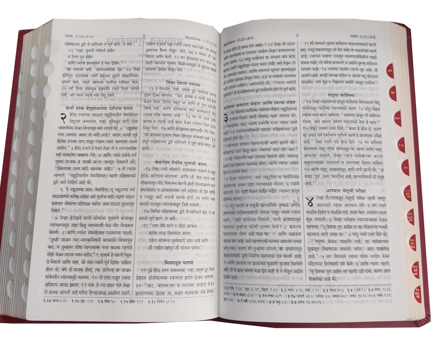 Holy Bible Marathi Regular Vinyl with Zip/Index Burgundy Containing Old and New Testament Leather Bound