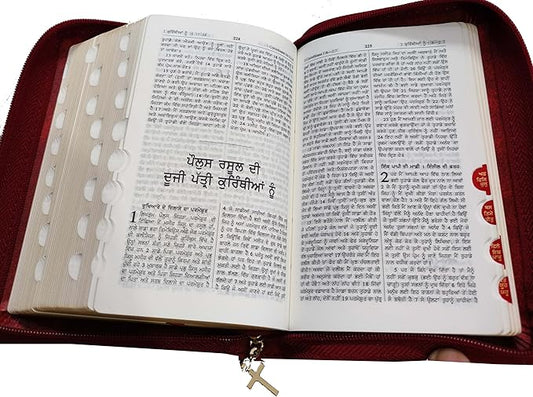 Punjabi Pocket Bible black Vinyl with Zipper/Index O.V. new font 2023 BSI