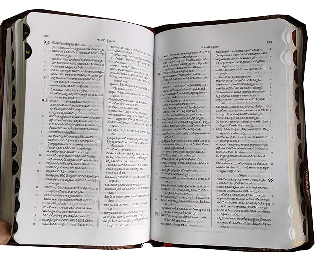 Telugu (O.V.) 2021 Bible Cut Thumb Index/ZIP Compact Contains Old and New Testament BSI Imitation Leather