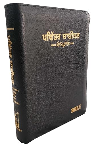 Punjabi Bible Compact Black Vinyl With Zip/Index Contains Old and New Testament