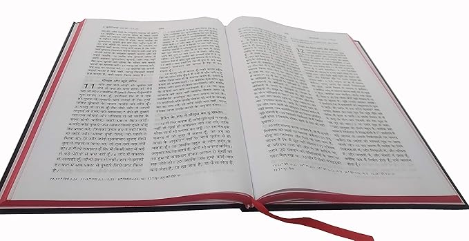 Pavitra Bible Hindi O.V. Re-Edited New Updated cover Contains Old and New Testament Plastic Comb