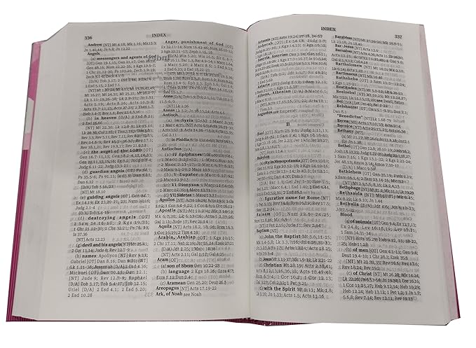 Good News Bible (GNB) Today's English Version Hb (Orange) Illustration Compact 2024 Contains Old and Testament BSI Imitation Leather