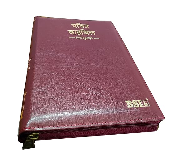 Hindi Bible O.V. 55ZTI (R) BL ZIP (KBS) Brown Korean Print Golden Edge Containing Old and New Testament BSI Bonded Leather