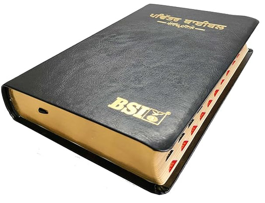 Holy Bible Punjabi- (O.V.) New Font '23 Regular PU Black/Thumb Index Contains Old and New Testament Leather Bound