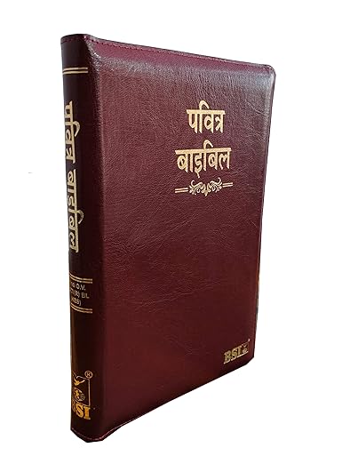 Hindi Bible O.V. 55ZTI (R) BL ZIP (KBS) Brown Korean Print Golden Edge Containing Old and New Testament BSI Bonded Leather