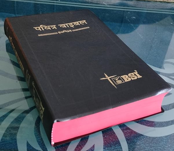 Pavitra Bible Hindi O.V. Re-Edited New Updated cover Contains Old and New Testament Plastic Comb
