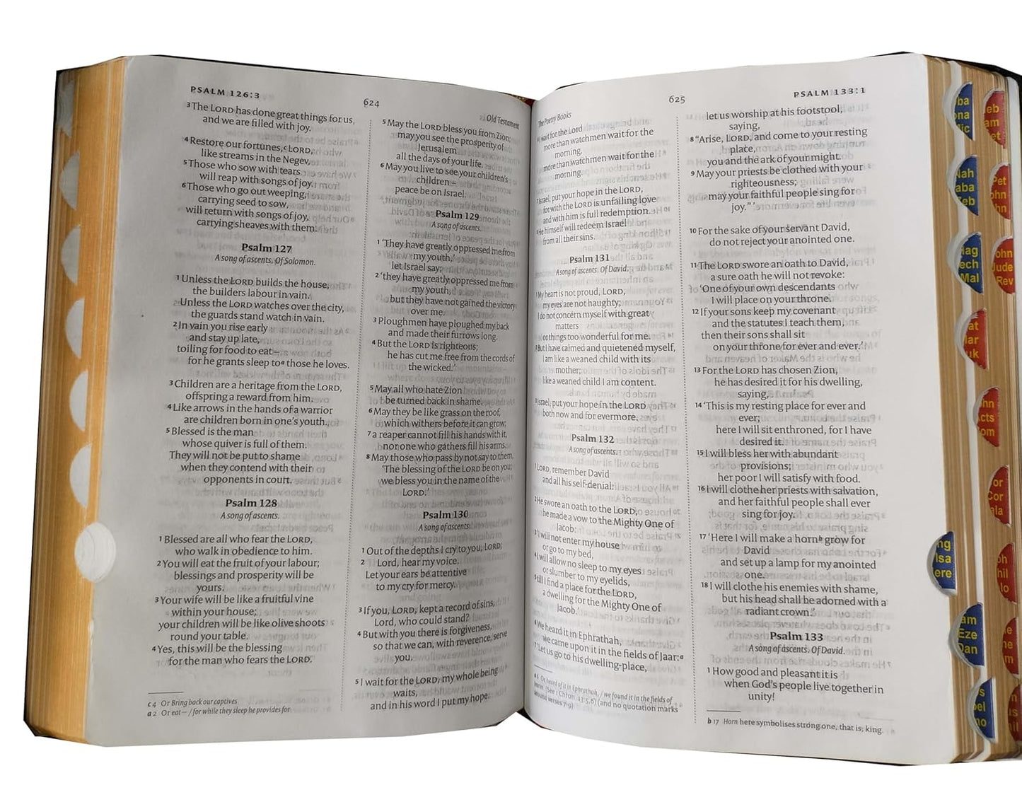 Bible NIV Mini Compact Thumb index/ZIP (Red Letter) Black Contains Old and New Testament BSI Imitation Leather