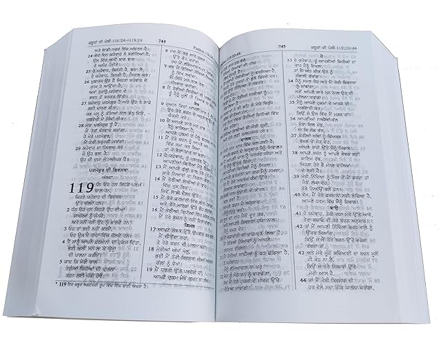 Holy Bible Punjabi Semi Compact Containing Old and New Testament BSI Paperback