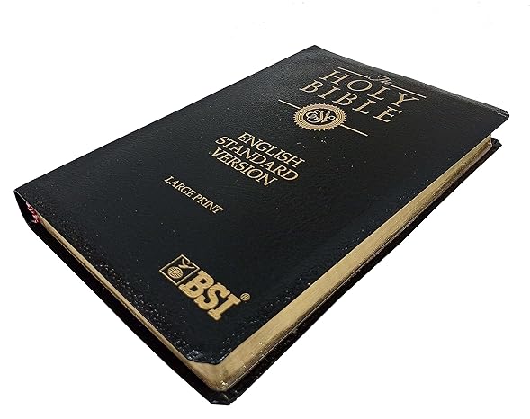 ESV Large Print Bible (English Standard Version) Contains Both Testament Concordance-Map Leather Leather Bound