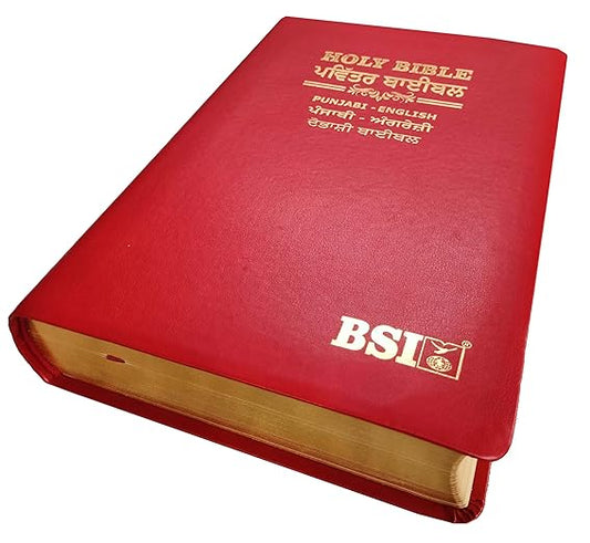 Punjabi Diglot Bible (O.V.) - English (ESV) Royal PU (Maroon) Contains Old and New Testament BSI Leather Bound