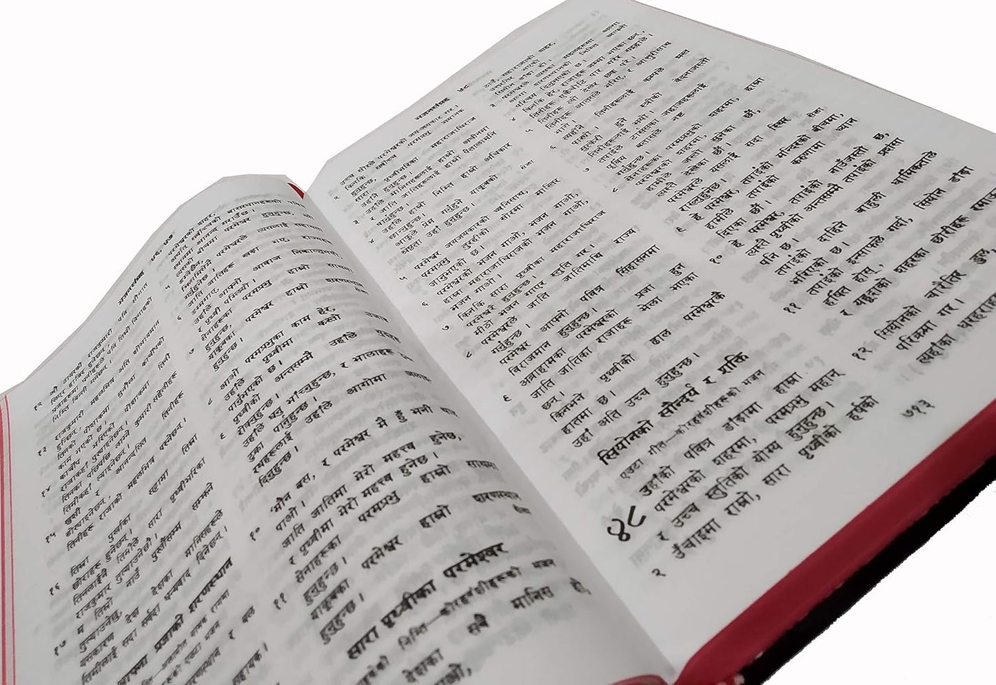 Nepali -R.V. Holy Bible Containing Old and New Testament BSI version Flexibound