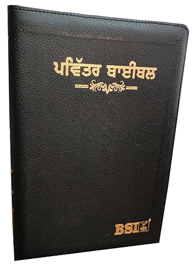 Punjabi Bible Regular Black Vinyl With Zip/Index Containing Old and New Testamnet BSI