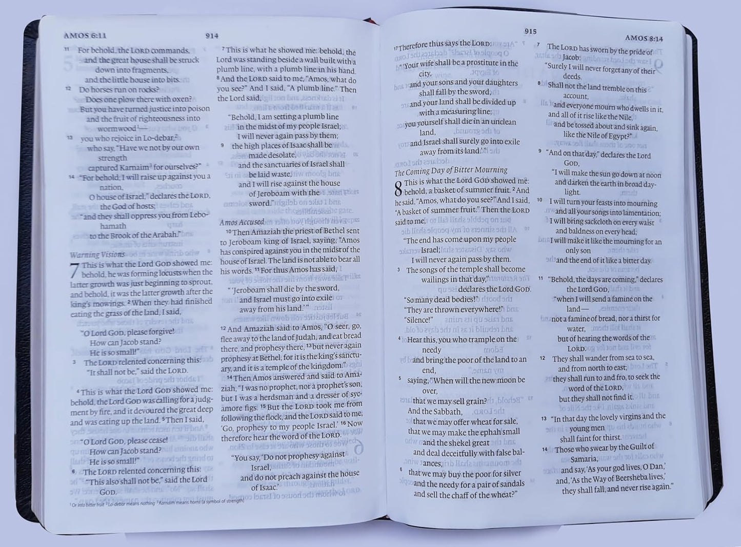 ESV Bible Large Print Bounded Leather Gold Edge Leather Bound