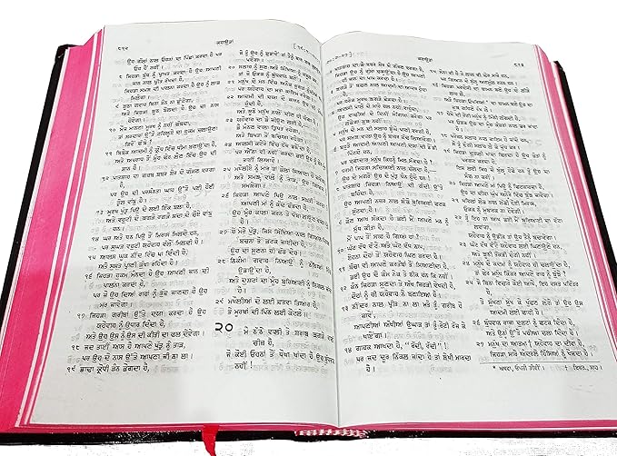 Holy Bible Punjabi (O.V.) Red Edge Contains Old And New Testament BSI Plastic Comb