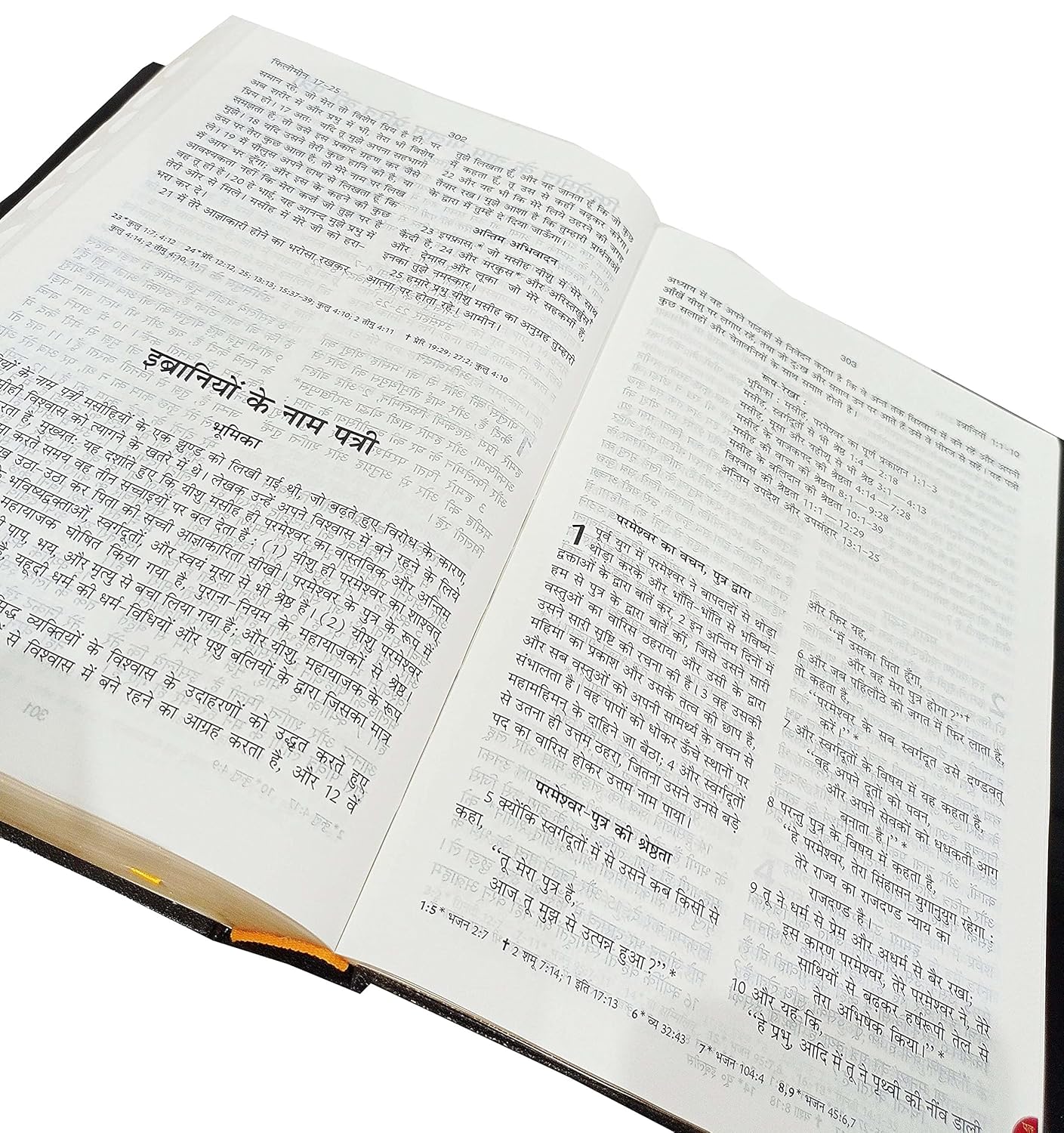 Hindi Bible Royal Plus (Red Letter Edition) Big Letter HB TI BSI Contains Old and New Testament