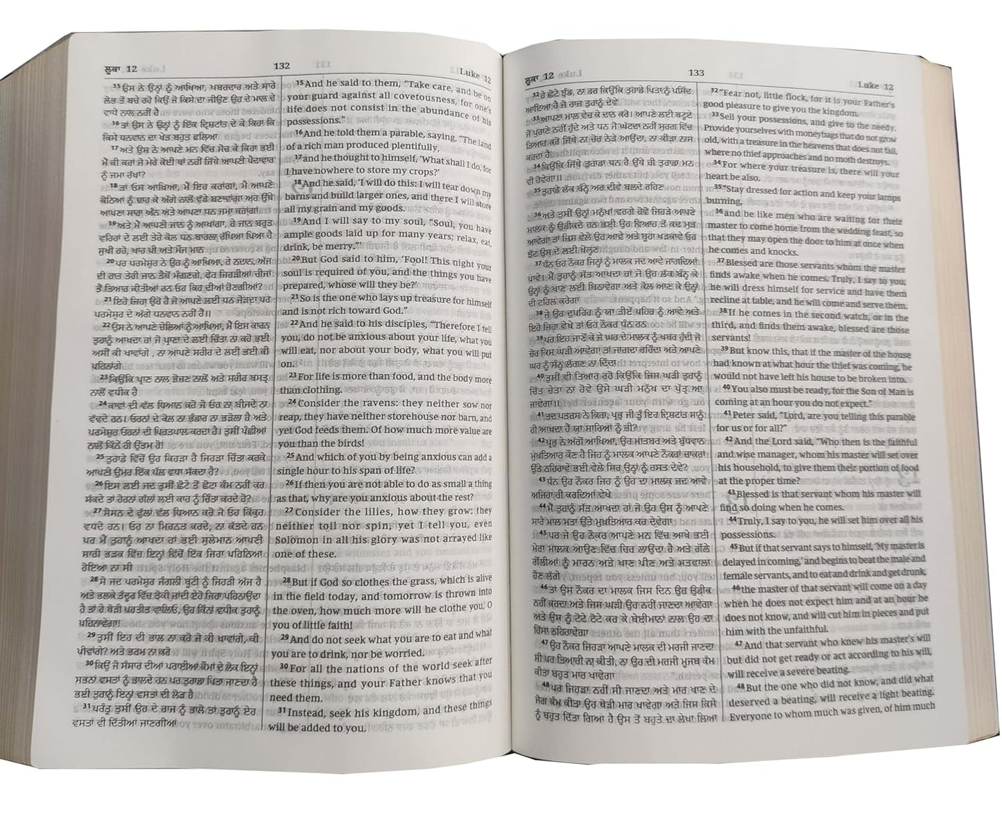 Punjabi Diglot Bible (O.V.) - English (ESV) Royal PU (Maroon) Contains Old and New Testament BSI Leather Bound