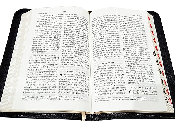 Holy Bible Hindi Index/Zip Missionary Regular edition Vinyl (O.V. 2021) BSI Contains Old and New Testament Bonded Leather